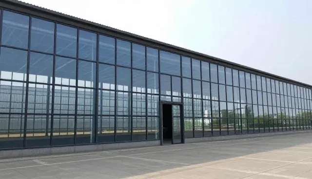 市场调研报告：财务合规检查的5大要点与使用建议